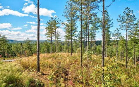 Lt 62 Seven Mile Creek Road Talking Rock GA 30175