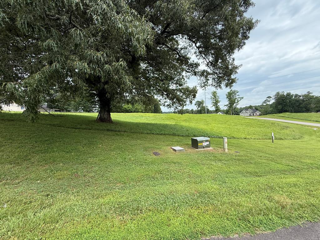 Lot 2 Viewpoint Lane Blairsville GA 30512