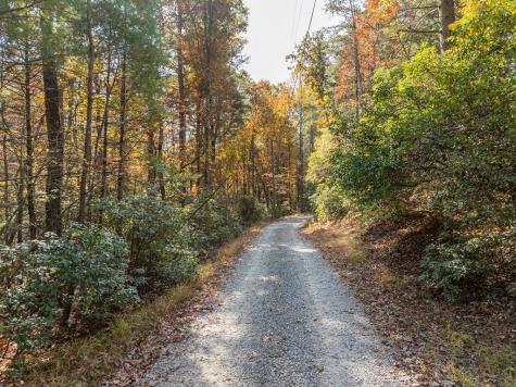 51.96 Ac Laughing Bird Lane Ellijay GA 30536