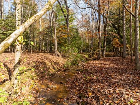 51.96 Ac Laughing Bird Lane Ellijay GA 30536