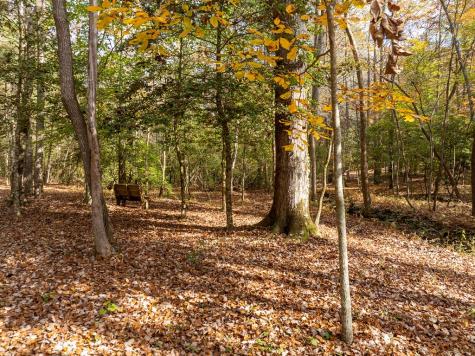 51.96 Ac Laughing Bird Lane Ellijay GA 30536