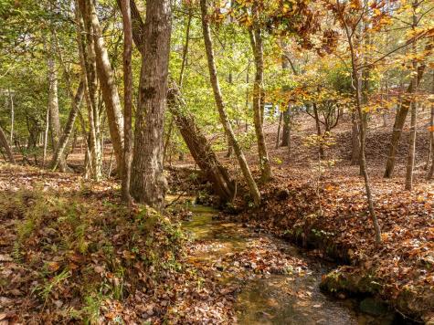 51.96 Ac Laughing Bird Lane Ellijay GA 30536