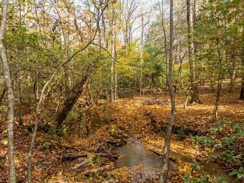 51.96 Ac Laughing Bird Lane Ellijay GA 30536