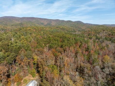 51.96 Ac Laughing Bird Lane Ellijay GA 30536