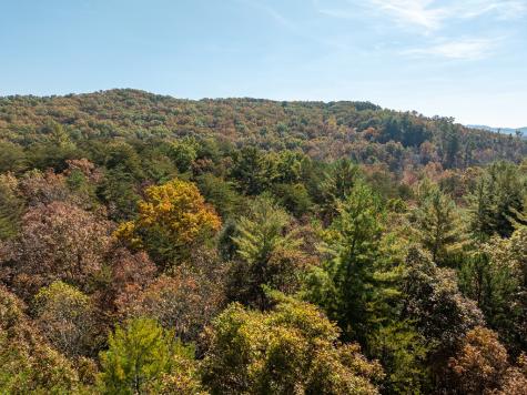 51.96 Ac Laughing Bird Lane Ellijay GA 30536