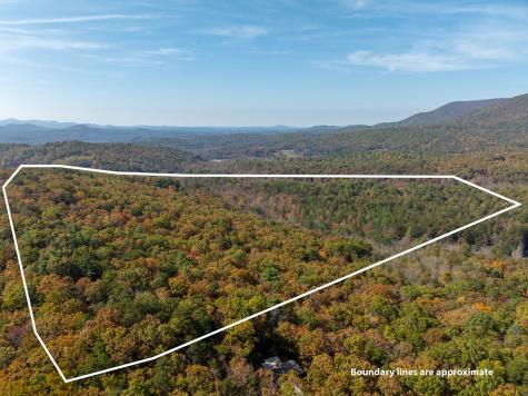 51.96 Ac Laughing Bird Lane Ellijay GA 30536