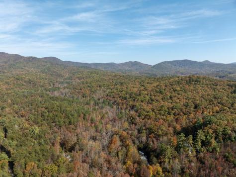 51.96 Ac Laughing Bird Lane Ellijay GA 30536