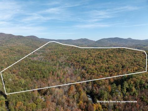 51.96 Ac Laughing Bird Lane Ellijay GA 30536