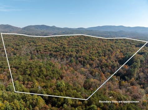 51.96 Ac Laughing Bird Lane Ellijay GA 30536
