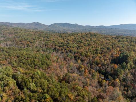 51.96 Ac Laughing Bird Lane Ellijay GA 30536