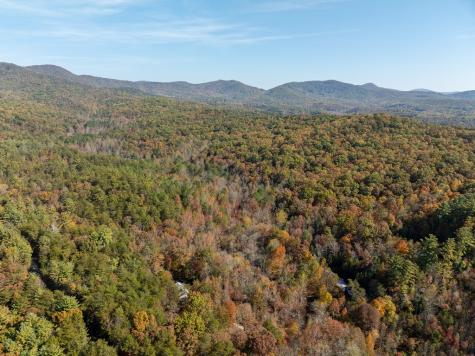 51.96 Ac Laughing Bird Lane Ellijay GA 30536