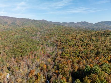 51.96 Ac Laughing Bird Lane Ellijay GA 30536