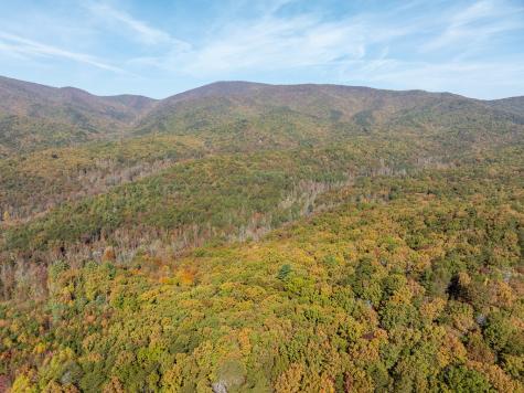 51.96 Ac Laughing Bird Lane Ellijay GA 30536