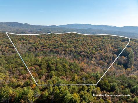 51.96 Ac Laughing Bird Lane Ellijay GA 30536