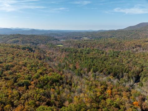 51.96 Ac Laughing Bird Lane Ellijay GA 30536