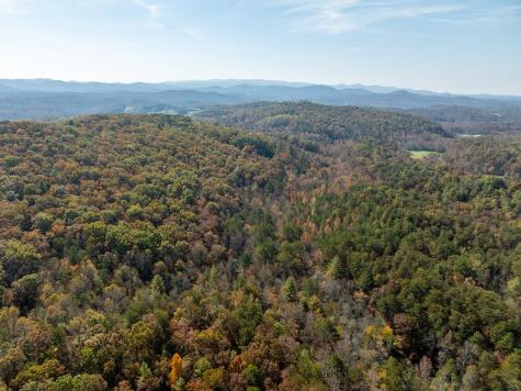 51.96 Ac Laughing Bird Lane Ellijay GA 30536