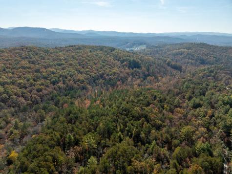 51.96 Ac Laughing Bird Lane Ellijay GA 30536