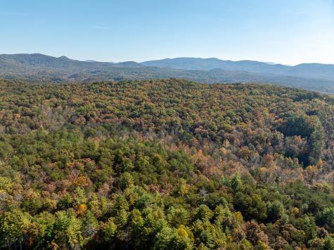 51.96 Ac Laughing Bird Lane Ellijay GA 30536
