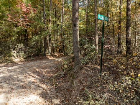51.96 Ac Laughing Bird Lane Ellijay GA 30536