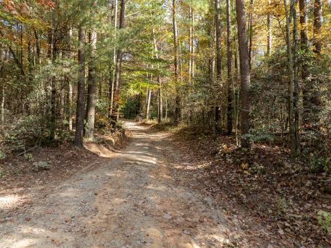 51.96 Ac Laughing Bird Lane Ellijay GA 30536