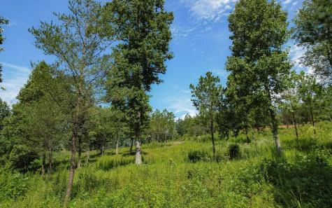 Lt 26 Arbor Creek Trail Mineral Bluff GA 30559
