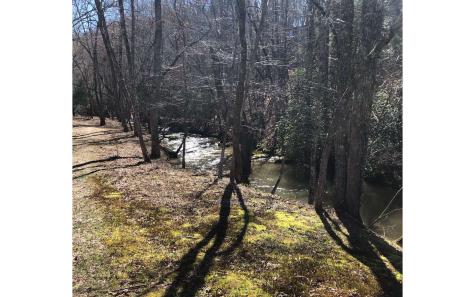Lt 26 Arbor Creek Trail Mineral Bluff GA 30559