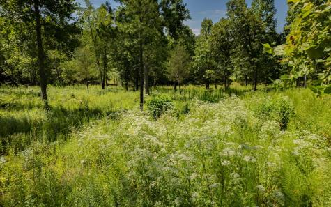 Lt 26 Arbor Creek Trail Mineral Bluff GA 30559