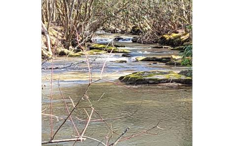 Lt 26 Arbor Creek Trail Mineral Bluff GA 30559