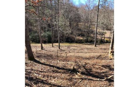 Lt 26 Arbor Creek Trail Mineral Bluff GA 30559