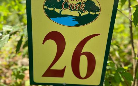 Lt 26 Arbor Creek Trail Mineral Bluff GA 30559