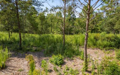 Lt 26 Arbor Creek Trail Mineral Bluff GA 30559