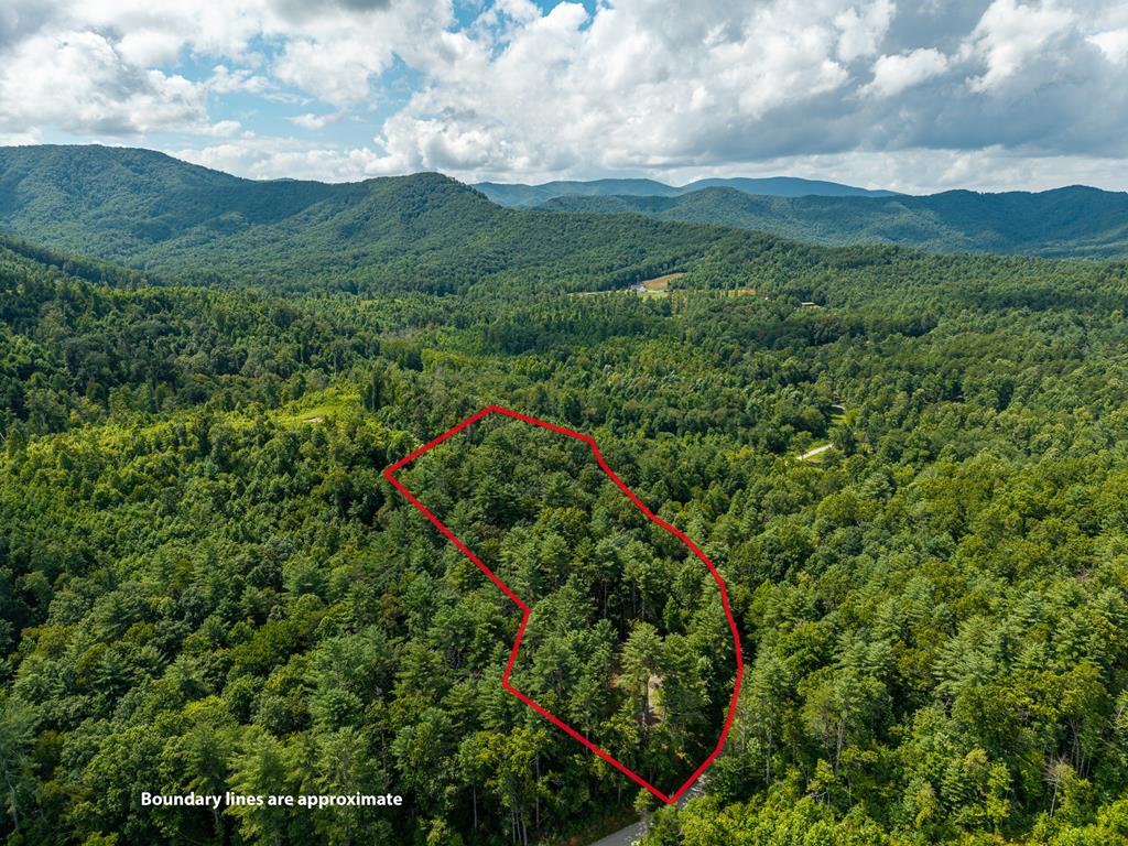 2.31ACRE Higdon Creek Road Blue Ridge GA 30513