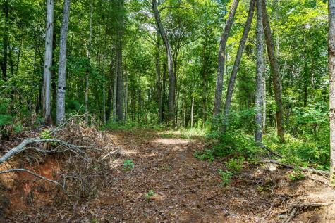 2.31ACRE Higdon Creek Road Blue Ridge GA 30513