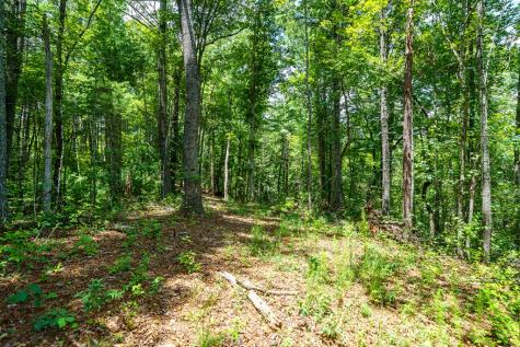 2.31ACRE Higdon Creek Road Blue Ridge GA 30513