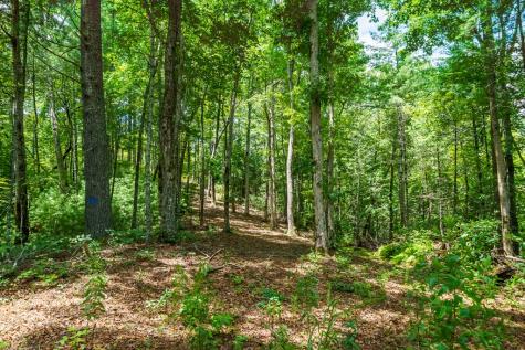 2.31ACRE Higdon Creek Road Blue Ridge GA 30513