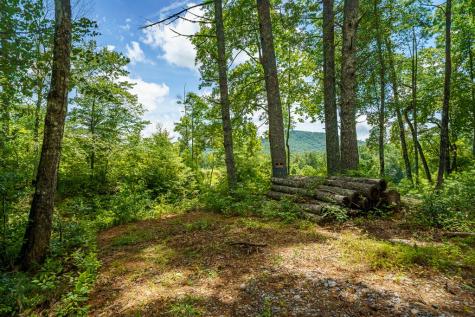2.31ACRE Higdon Creek Road Blue Ridge GA 30513