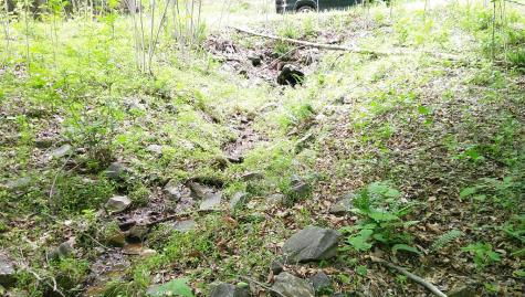 00 Tracks Hollow Murphy NC 28906