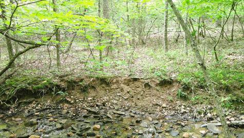00 Tracks Hollow Murphy NC 28906