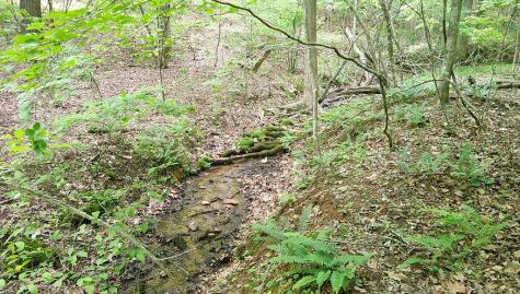 00 Tracks Hollow Murphy NC 28906