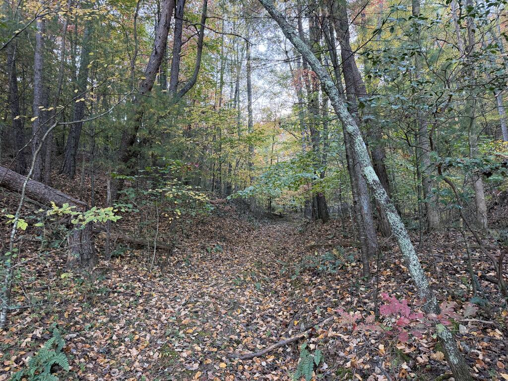 2067 Qualla Road Hayesville NC 28904