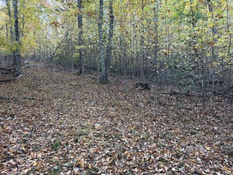 2067 Qualla Road Hayesville NC 28904