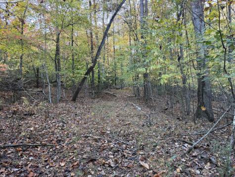 2067 Qualla Road Hayesville NC 28904