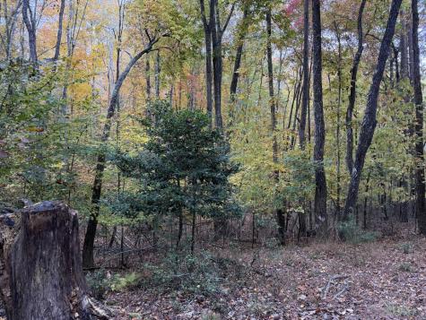 2067 Qualla Road Hayesville NC 28904