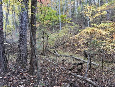 2067 Qualla Road Hayesville NC 28904