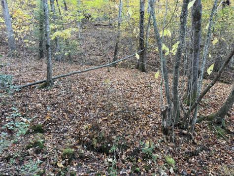 2067 Qualla Road Hayesville NC 28904