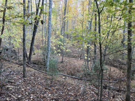2067 Qualla Road Hayesville NC 28904