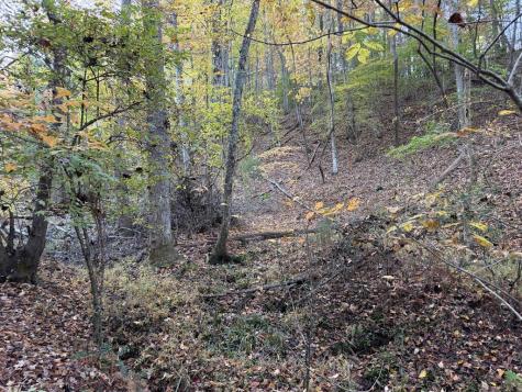 2067 Qualla Road Hayesville NC 28904