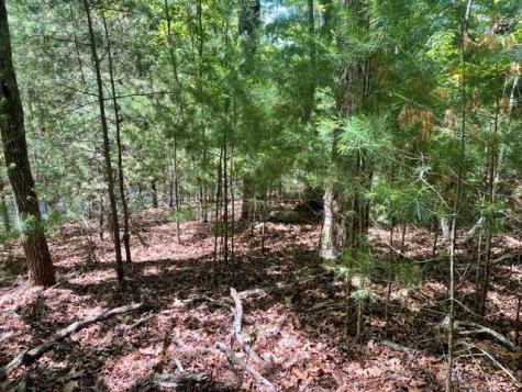 Lot 2 Mount Pleasant Ridge Road Blairsville GA 30512