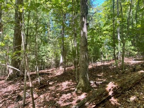 Lot 2 Mount Pleasant Ridge Road Blairsville GA 30512