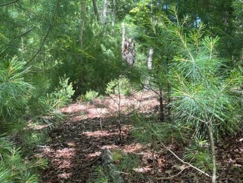 Lot 2 Mount Pleasant Ridge Road Blairsville GA 30512